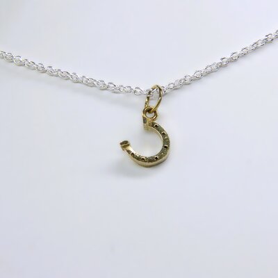 Fer à Cheval Porte-Bonheur