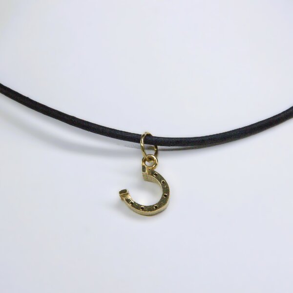 Fer à Cheval Porte-Bonheur