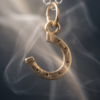Lucky Horseshoe