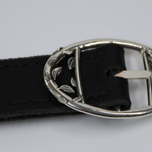 Argent Sylvestre – Nuit